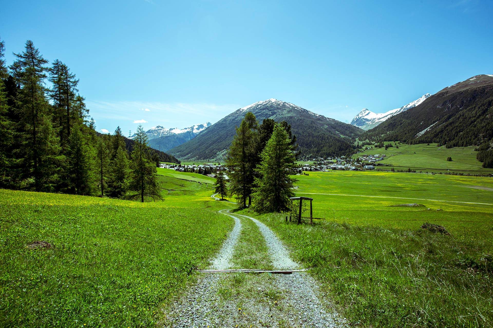 Passeggiata nella natura